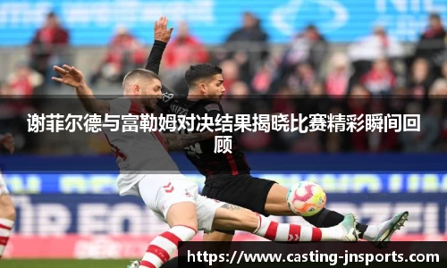 谢菲尔德与富勒姆对决结果揭晓比赛精彩瞬间回顾